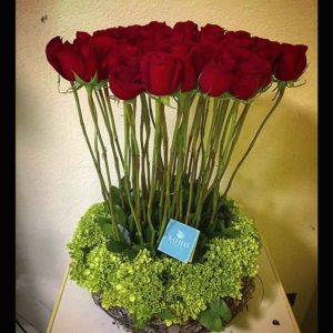 Nido de Rosas