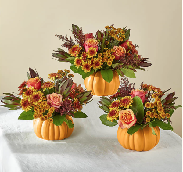 HONEYED HARVEST PUMPKIN - Image 3