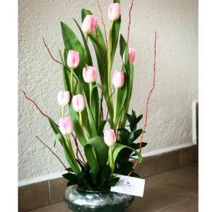 Fancy Tulip