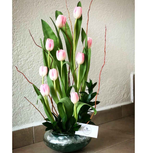 Fancy Tulip
