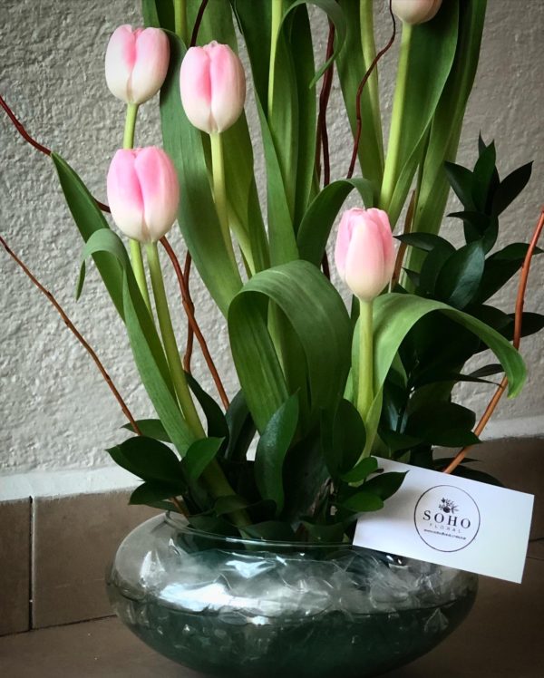 Fancy Tulip - Image 4