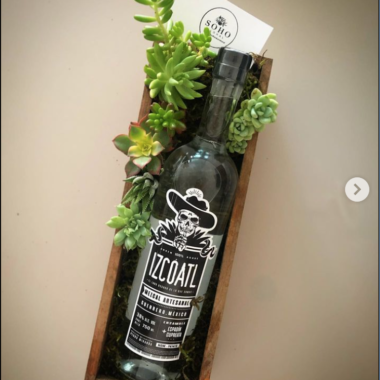 Suculento Mezcal