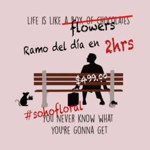 Ramo del Día